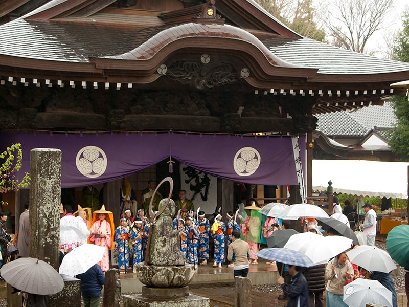 弘経寺で天樹祭開催！満開の桜のもとで静かに眠る千姫さま（常総市） 茨城見聞録