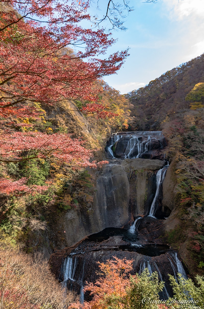 袋田の滝の紅葉