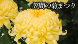 【笠間稲荷】笠間の菊まつり｜日本最古の菊の祭典｜笠間市
