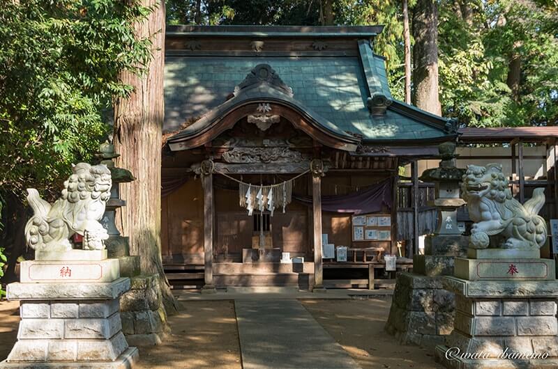 胎安神社社殿