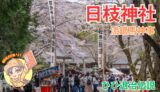 日枝神社と流鏑馬祭〜山の神退治の伝説｜土浦市