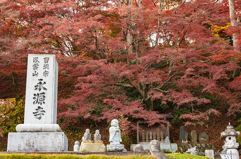 寺号標