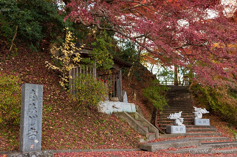 もみじ寺石柱