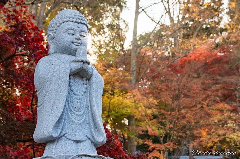 石仏と紅葉