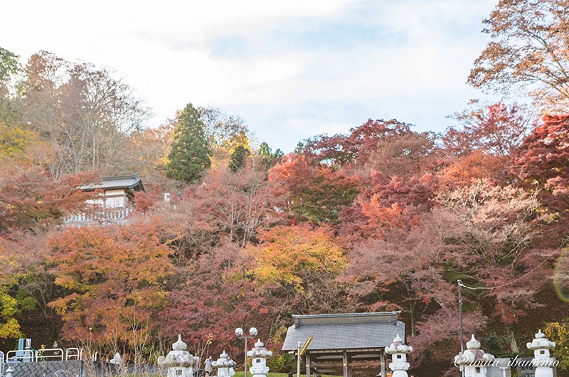 紅葉シーズンの永源寺
