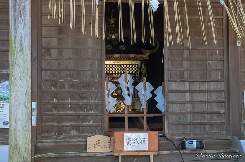 拝殿のお神輿