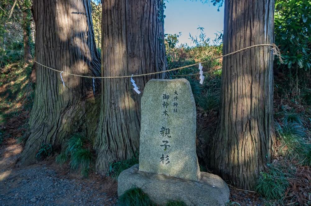御神木(親子杉)