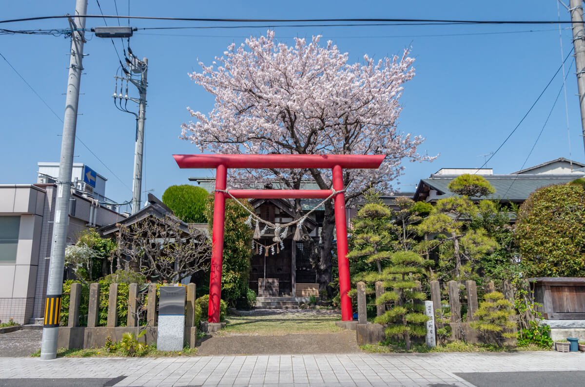 市杵姫神社の全景