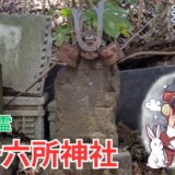 【守谷市】大木の六十六所神社〜社号と石像のミステリー