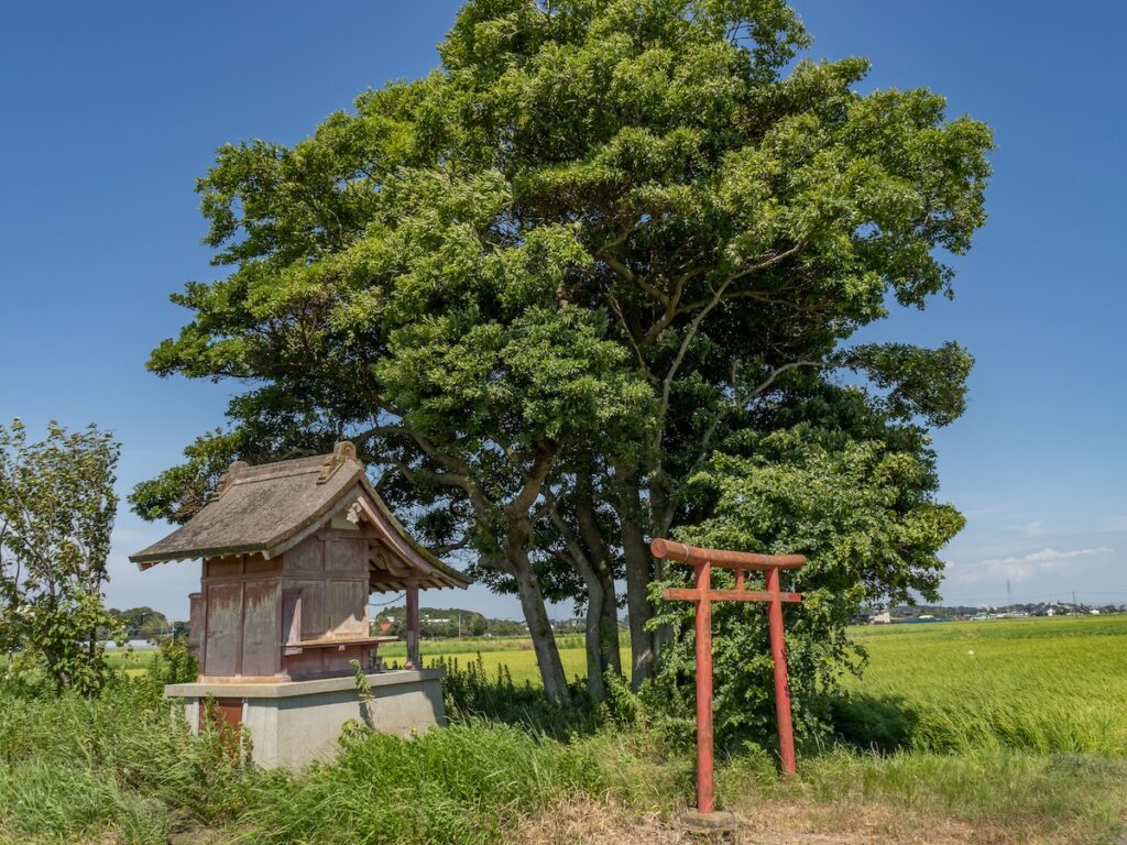 木村屋ゆかりの神社